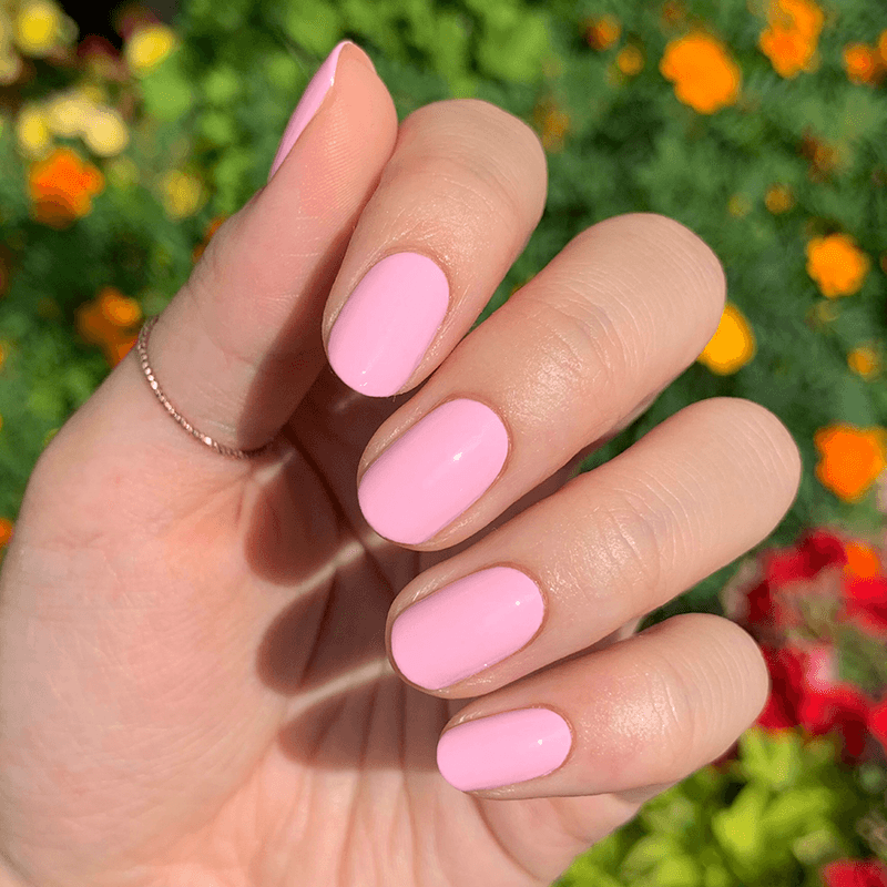 SCL、mySite、solidvoid