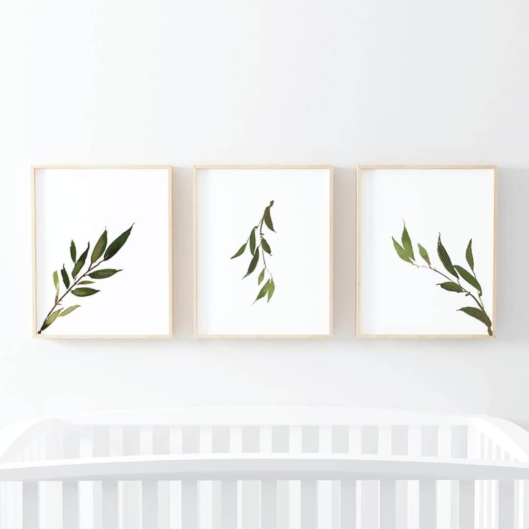  Olive Leaf Digital Nursery Art Print Group、mySite、layawaytickets