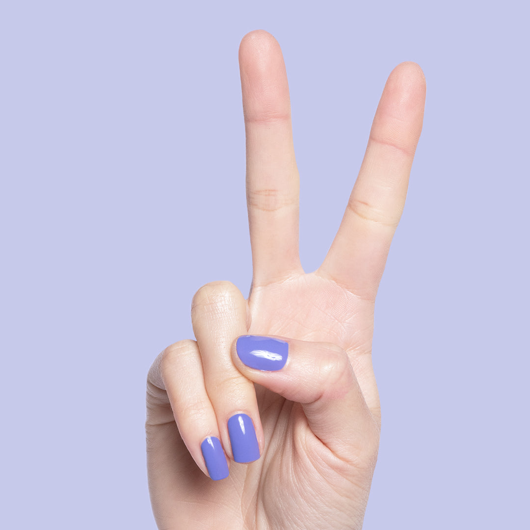 Royal、mySite、solidvoid