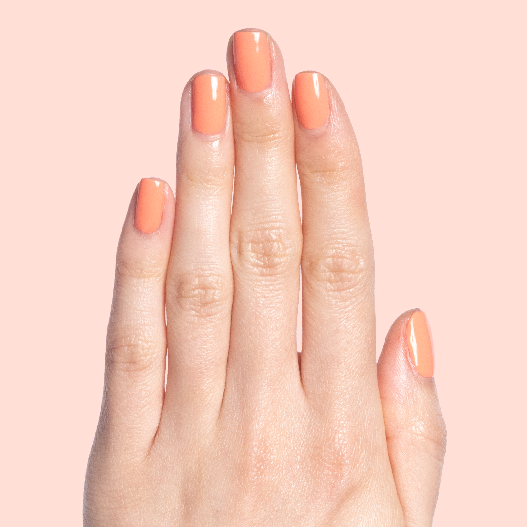 Melon、mySite、solidvoid