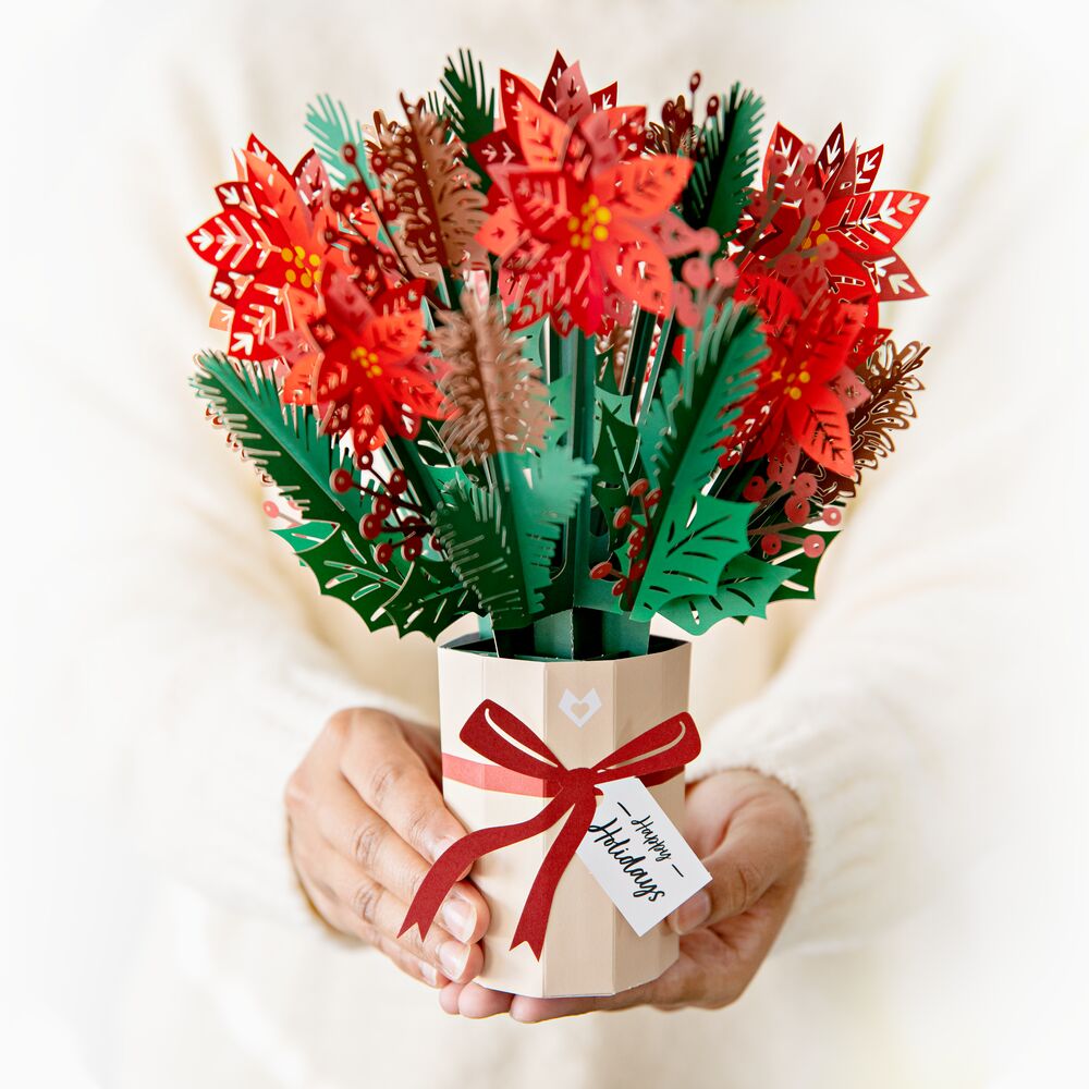 Christmas Hummingbirds Card & Poinsettia Bouquet Bundle、mySite、solidvoid