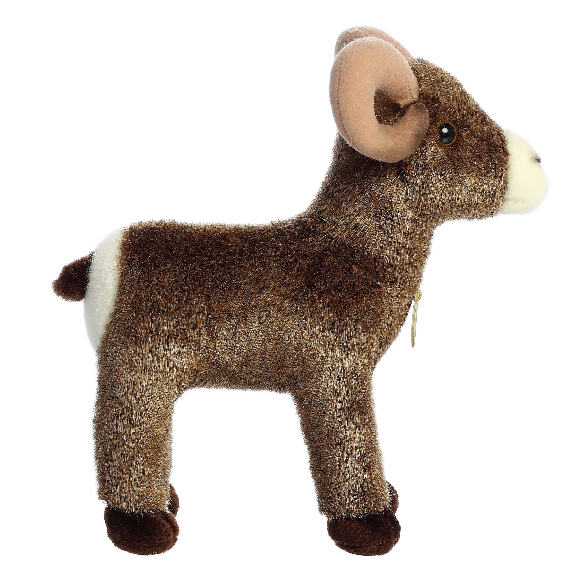 Aurora® - Miyoni® - 11 Bighorn Sheep、mySite、g9winljtr