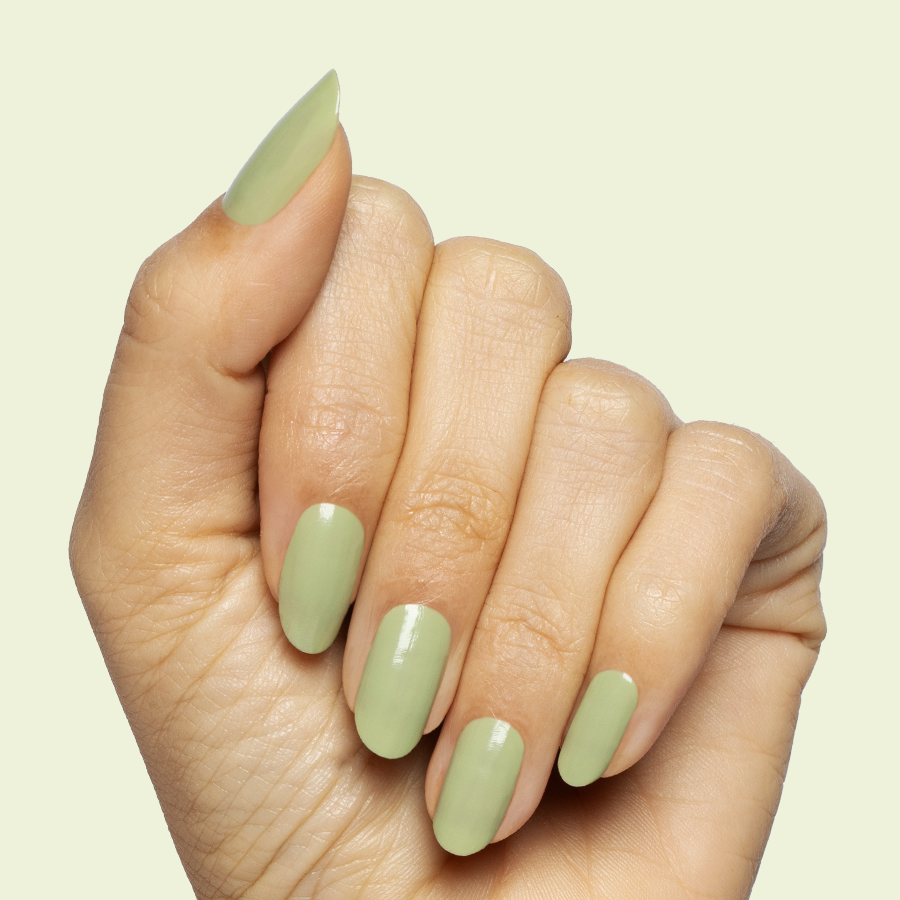 Meadow、mySite、solidvoid