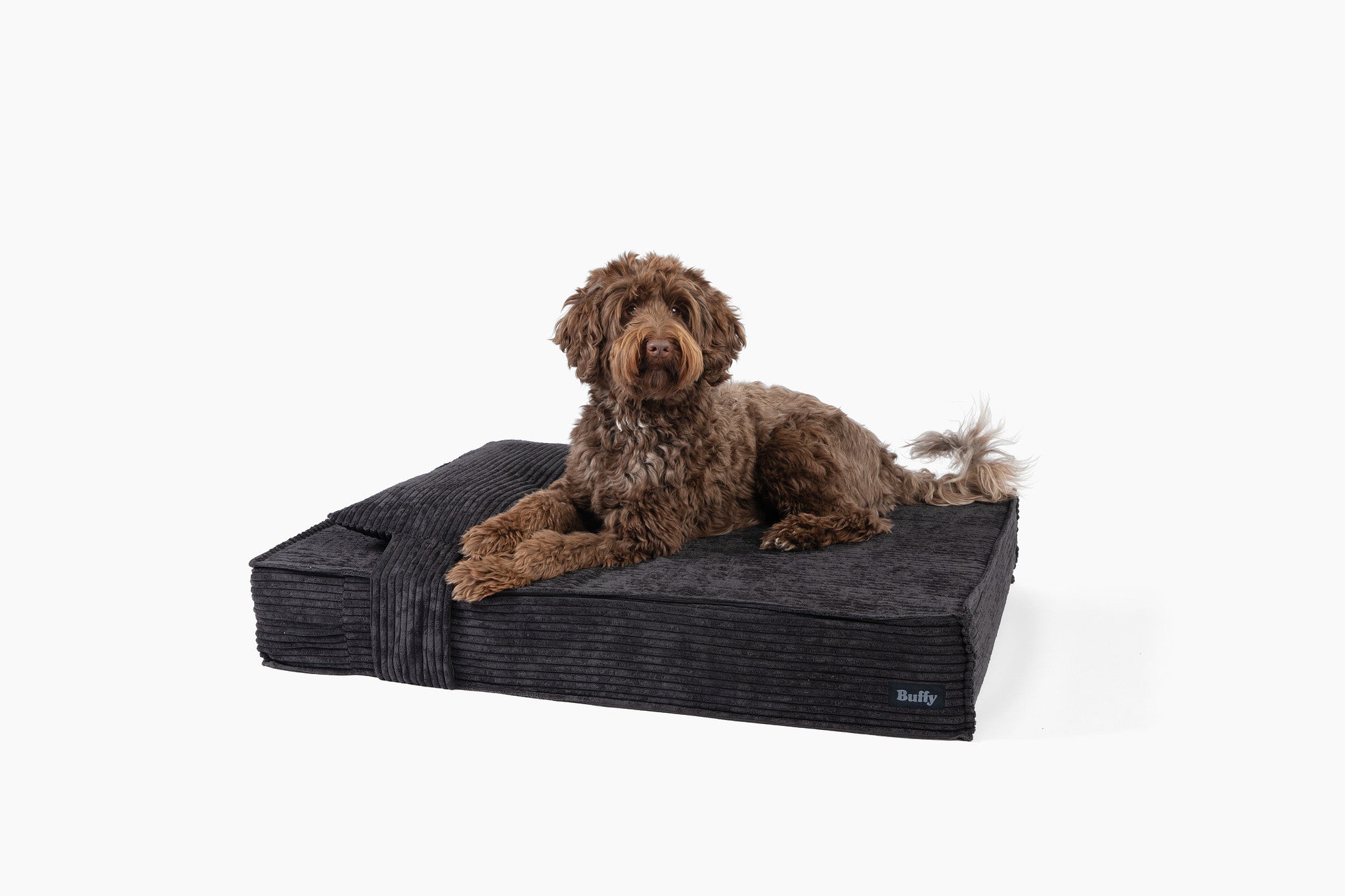  Orthopedic Pet Bed、mySite、sugarbowlscore