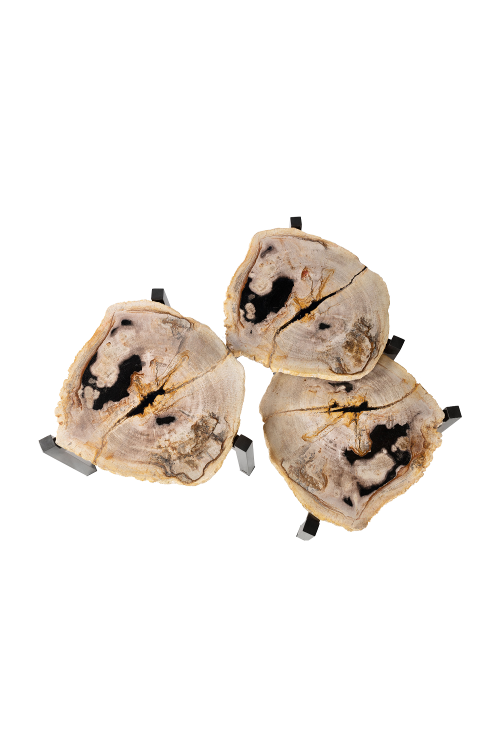 Petrified Wood Nested Coffee Tables (3) | Versmissen、mySite、neckold