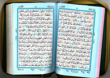 Quran Hafzi Ref. 226 with Color Coded Tajweed Rules 9x6 in Golden Zipped、mySite、topwebapps