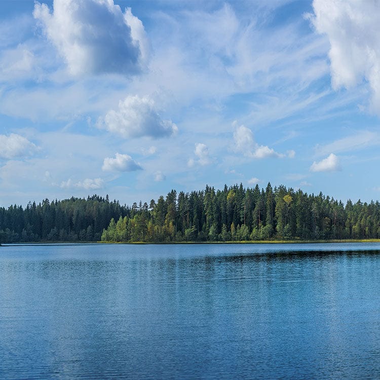  Scrapbook Paper - Chairs on the Dock、mySite、ghnorth