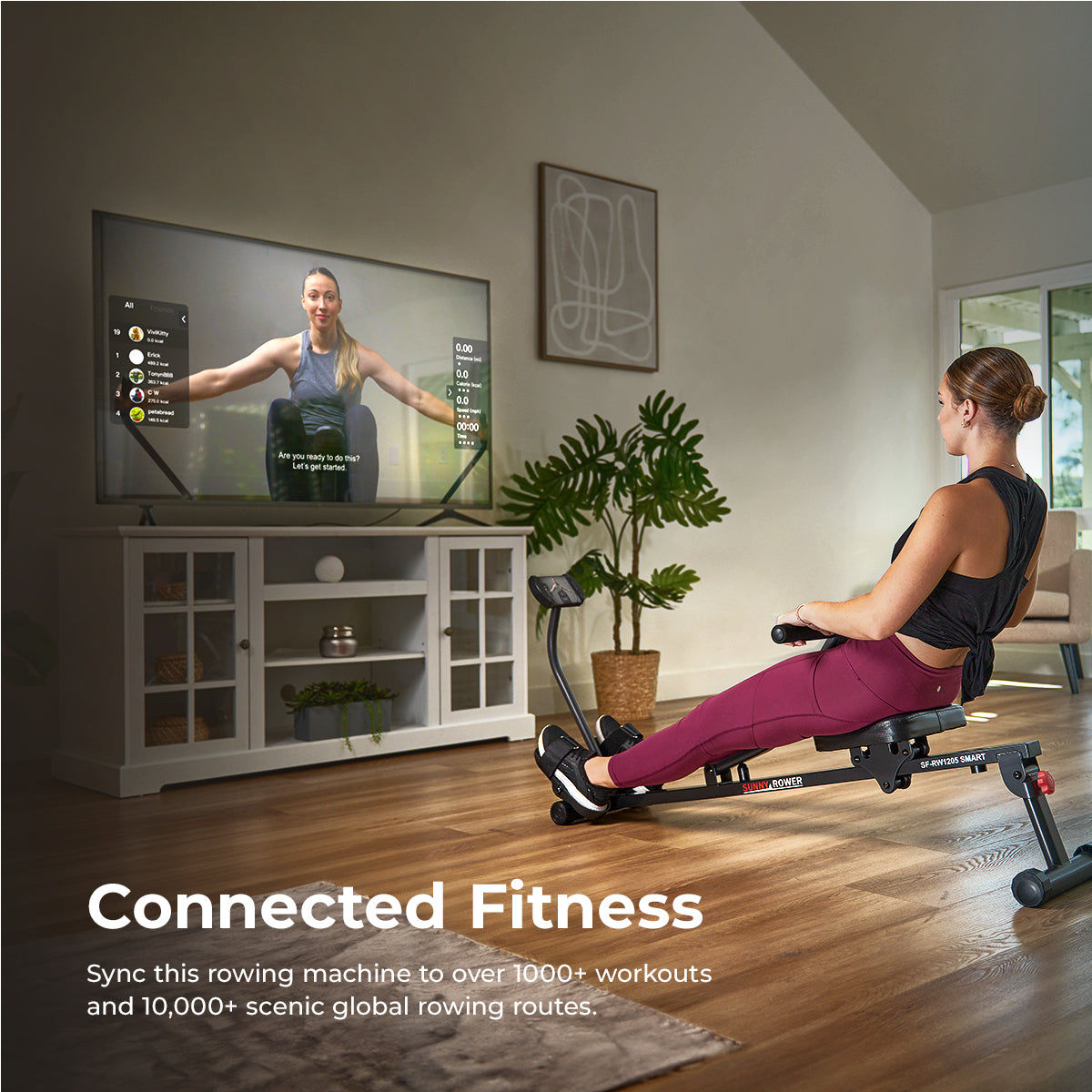  Smart Compact Hydraulic Rowing Machine with 12 Levels Hydraulic Resistance、mySite、ghnorth