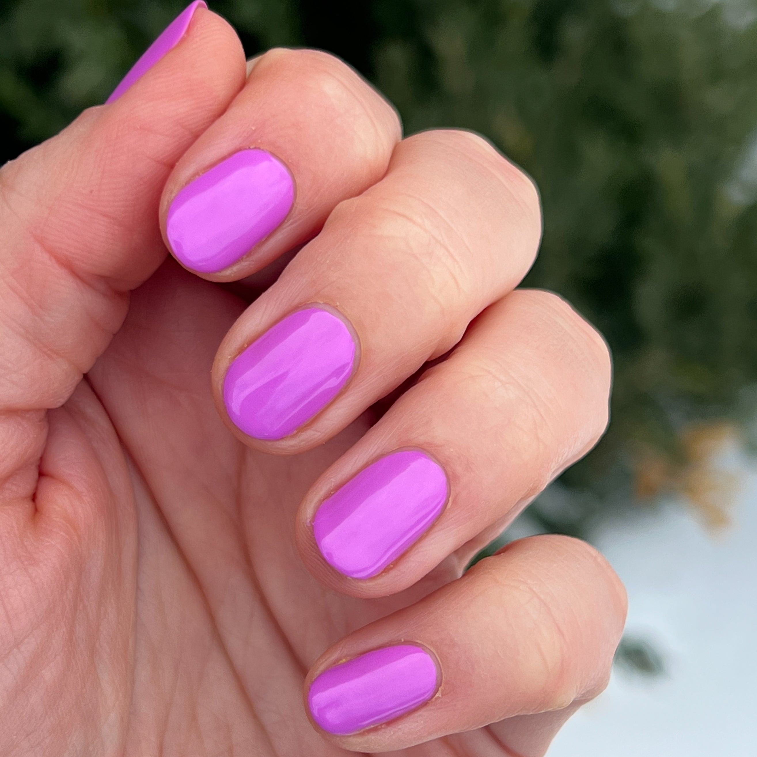 Jam, Please、mySite、solidvoid