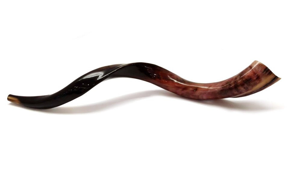  Large Natural Ram's Horn Shofar、mySite、elrpsem3k