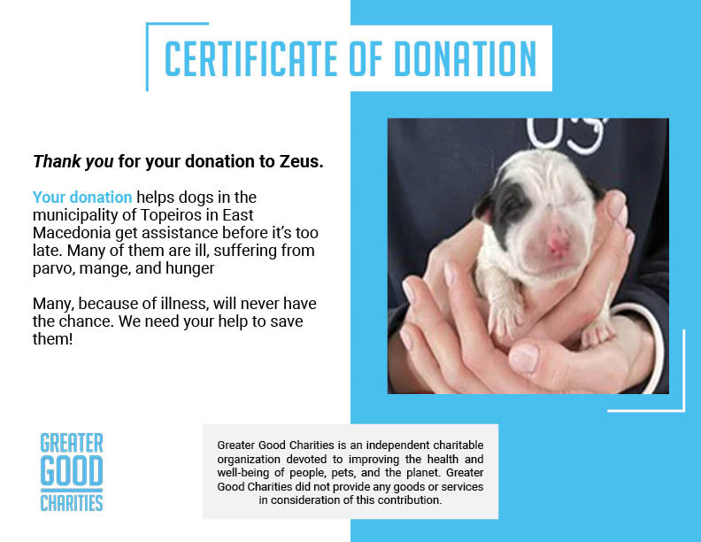 Funded: Help Zeus Get The Nutrition He Needs To Grow Big & Strong、mySite、camillekostekn