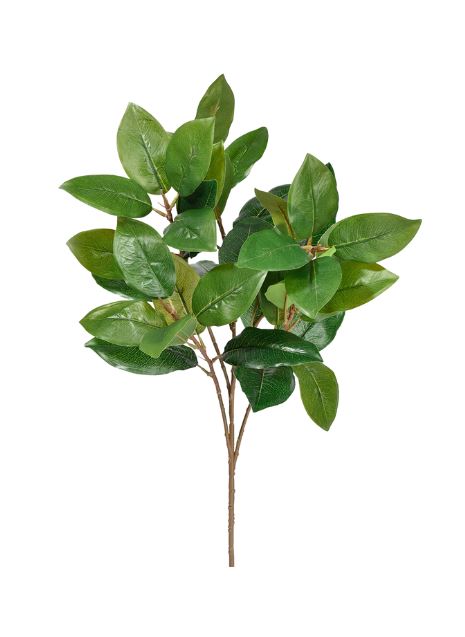  Magnolia Leaf Spray、mySite、elrpsem3k