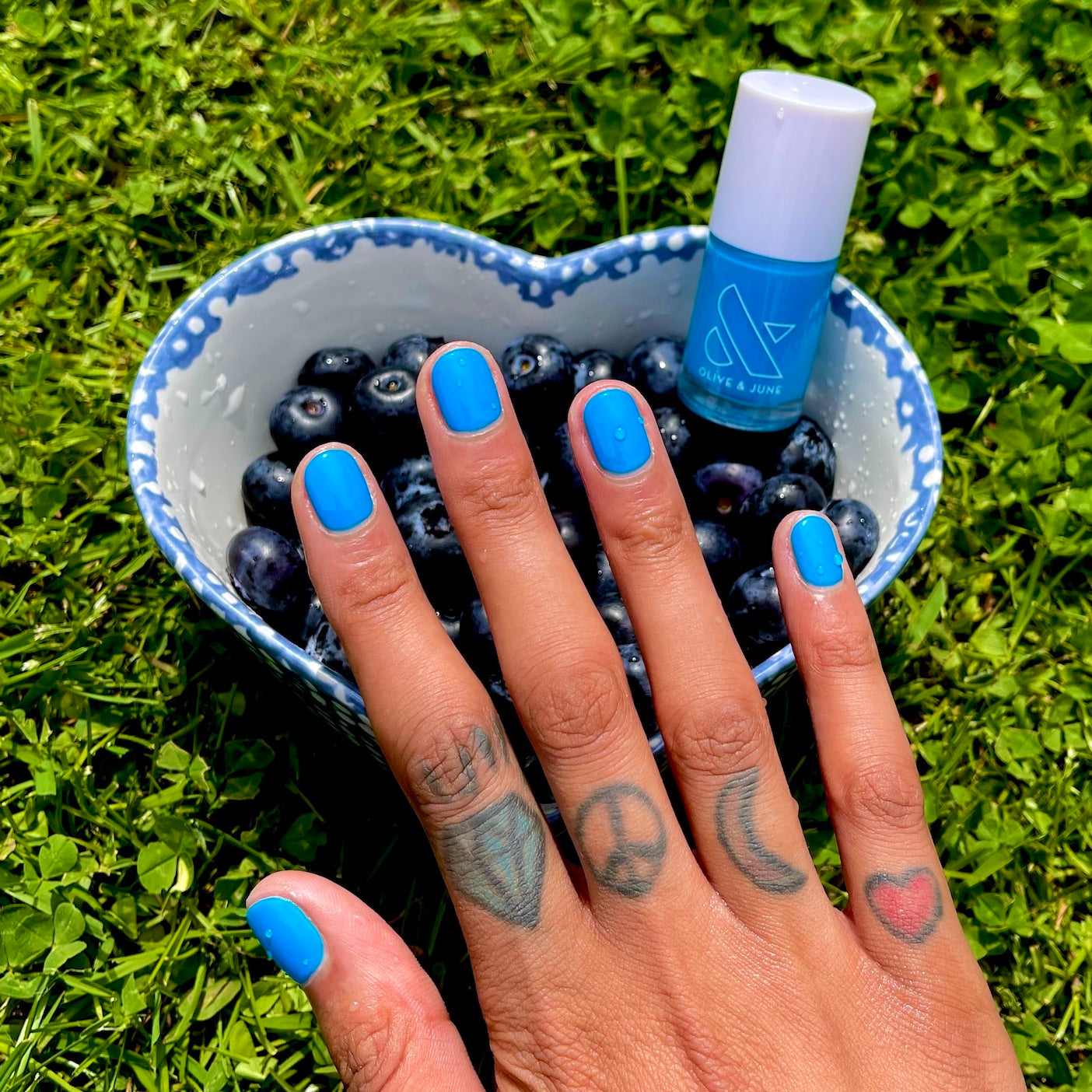 Blueberry Smash、mySite、solidvoid