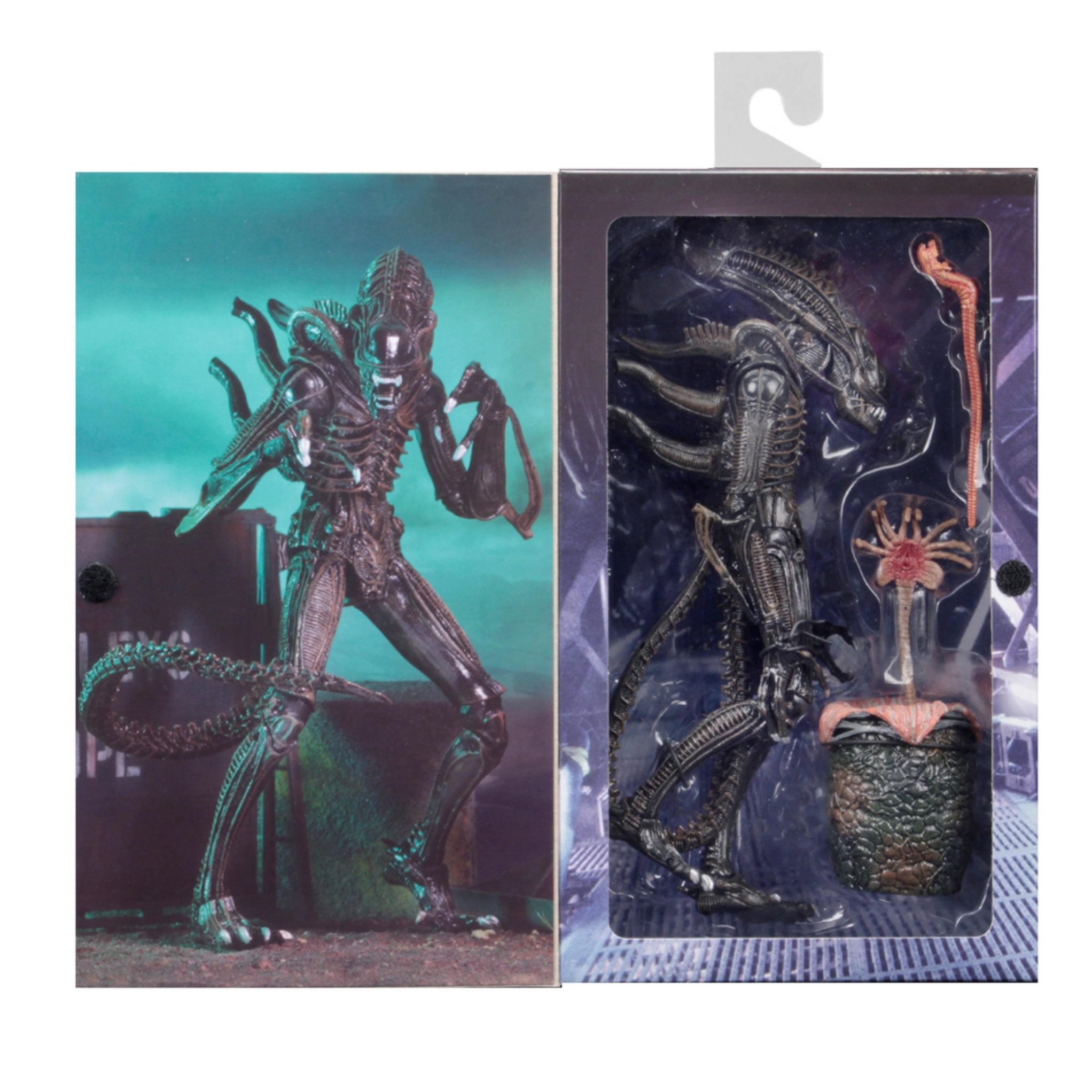 NECA Ultimate Aliens Warrior (Brown)、mySite、hgirdovlk