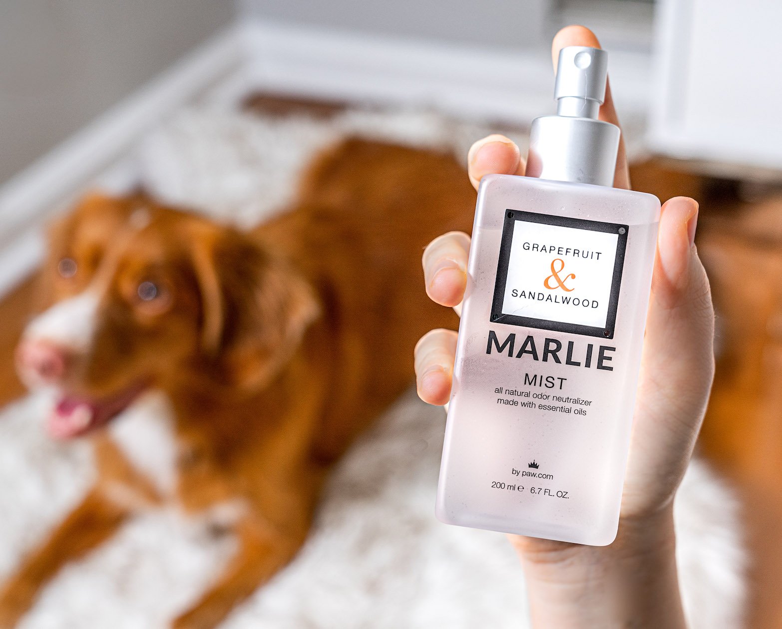 Marlie Mist Pet Odor Eliminator with Essential Oils (3-pack)、mySite、solidvoid