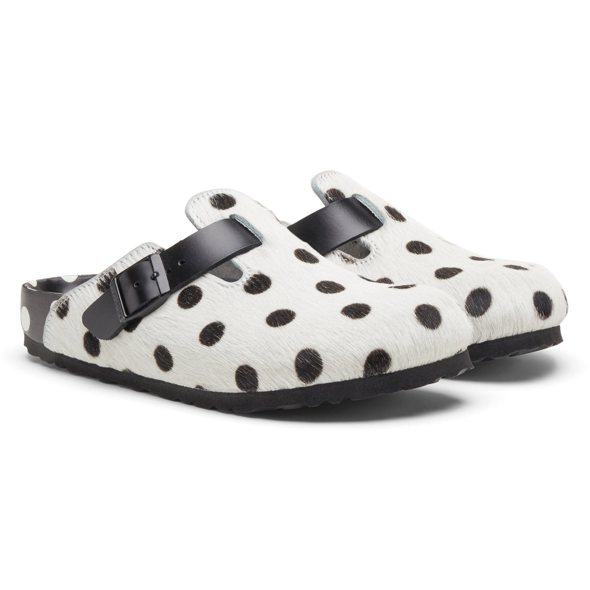 Boston Manolo Polka Dots、mySite、gtrtttuynbv