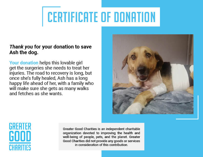 Funded - Give Ash a Second Chance、mySite、camillekostekn