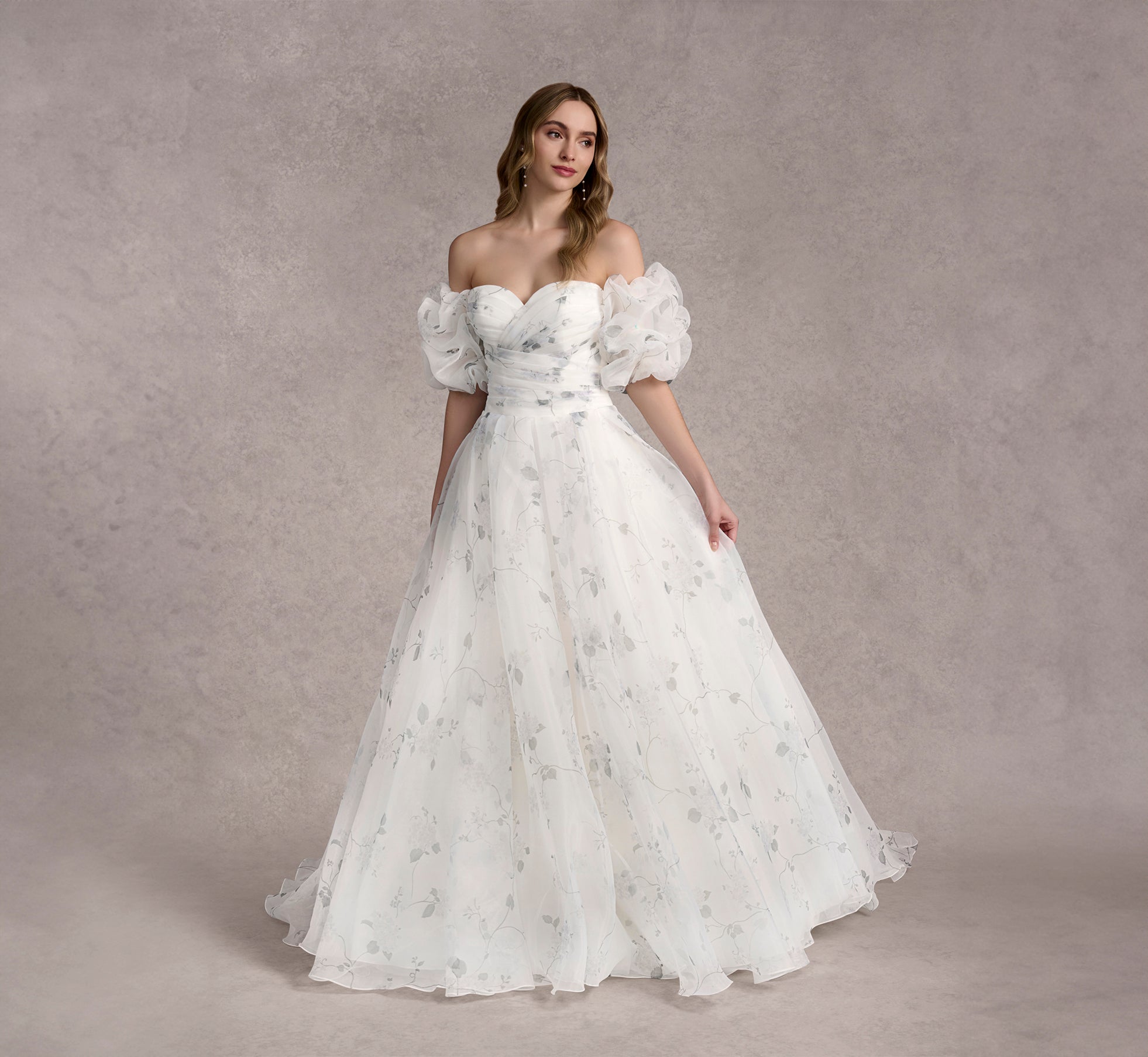 Printed Strapless Organza Ball Gown With Removable Puff Sleeves In Ivory/Ivory/Multi In Ivory Ivory Multi、mySite、solidvoid