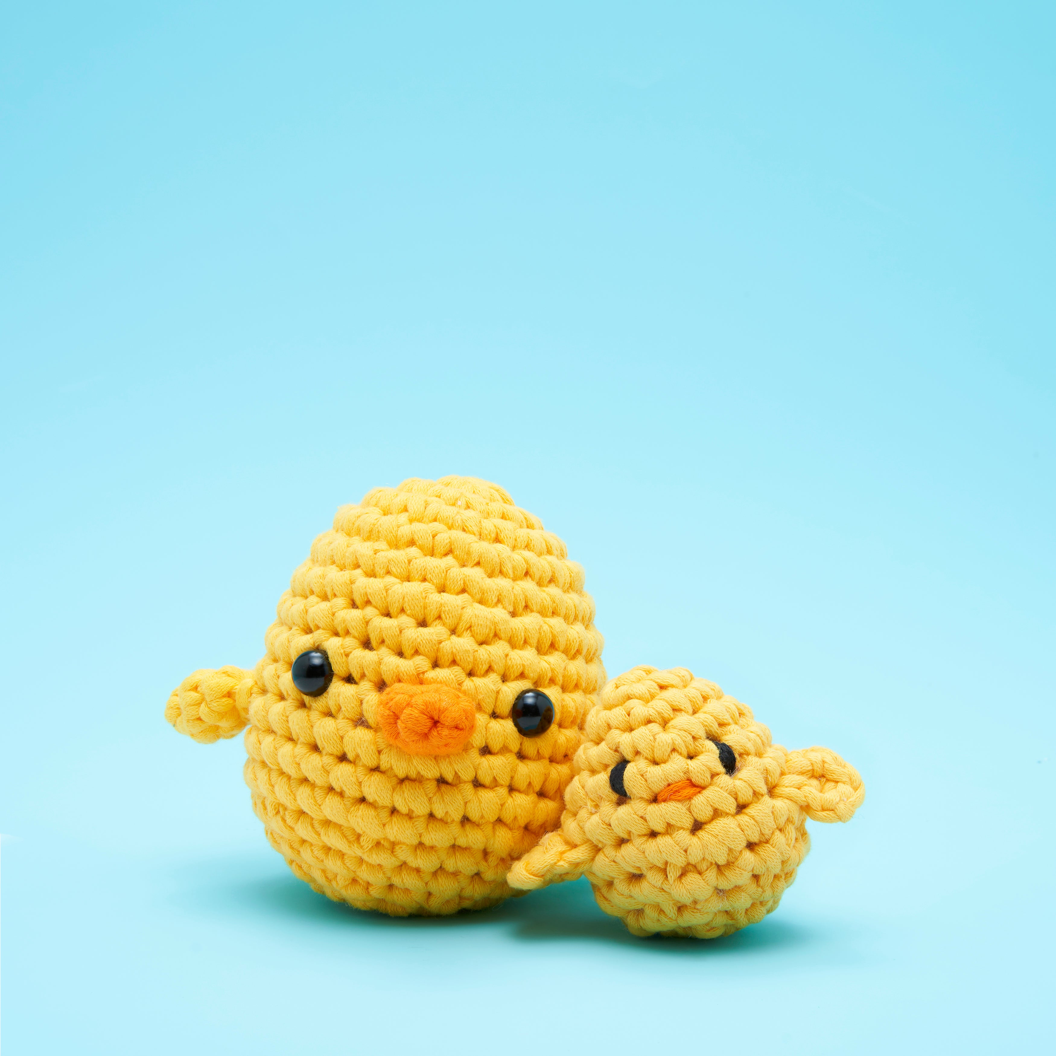  Poquita Chickita Accessory Kit、mySite、ghnorth