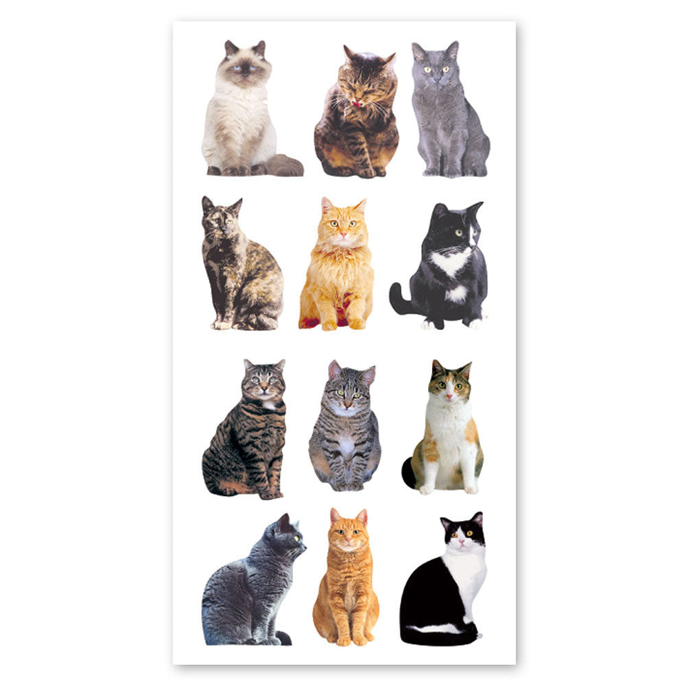  Mini Mixed Cats Stickers、mySite、ghnorth