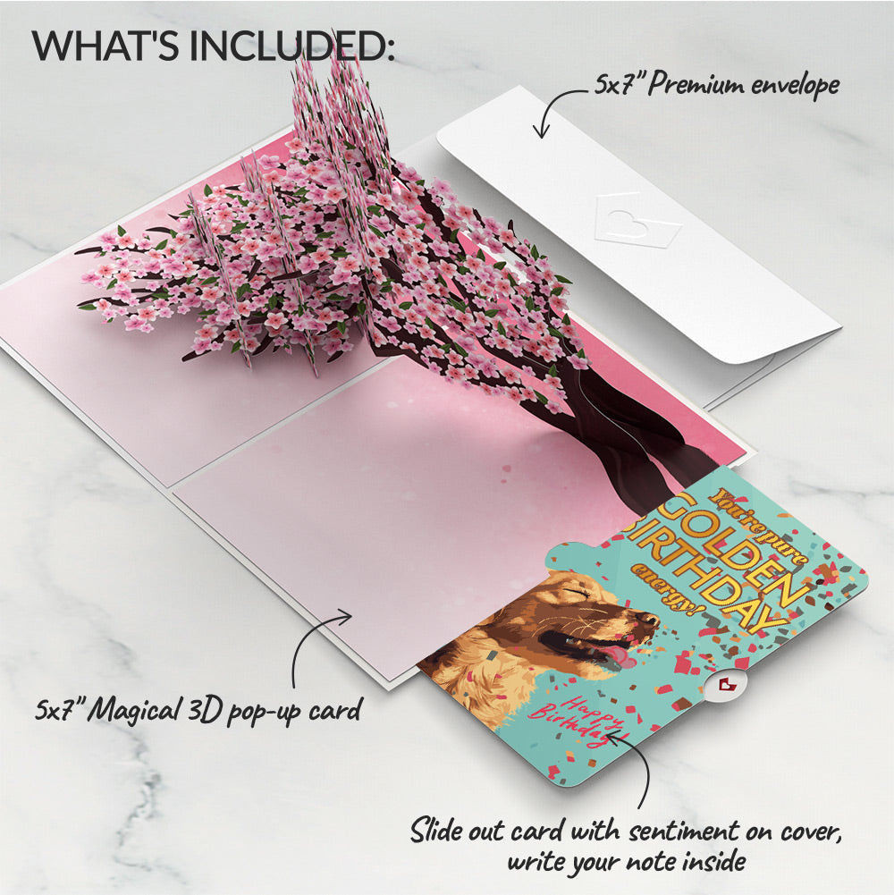 Cherry Blossom Branches in Bloom Birthday Pop-Up Card and Golden Energy Sentiment Set、mySite、solidvoid