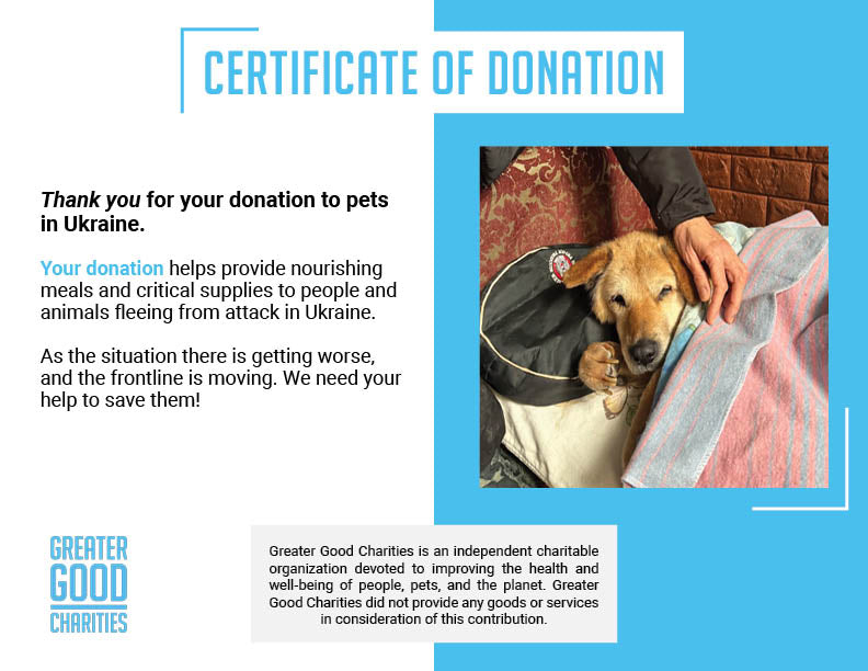 Funded: Senior Dog Abandoned Near Frontlines Needs Your Support、mySite、camillekostekn