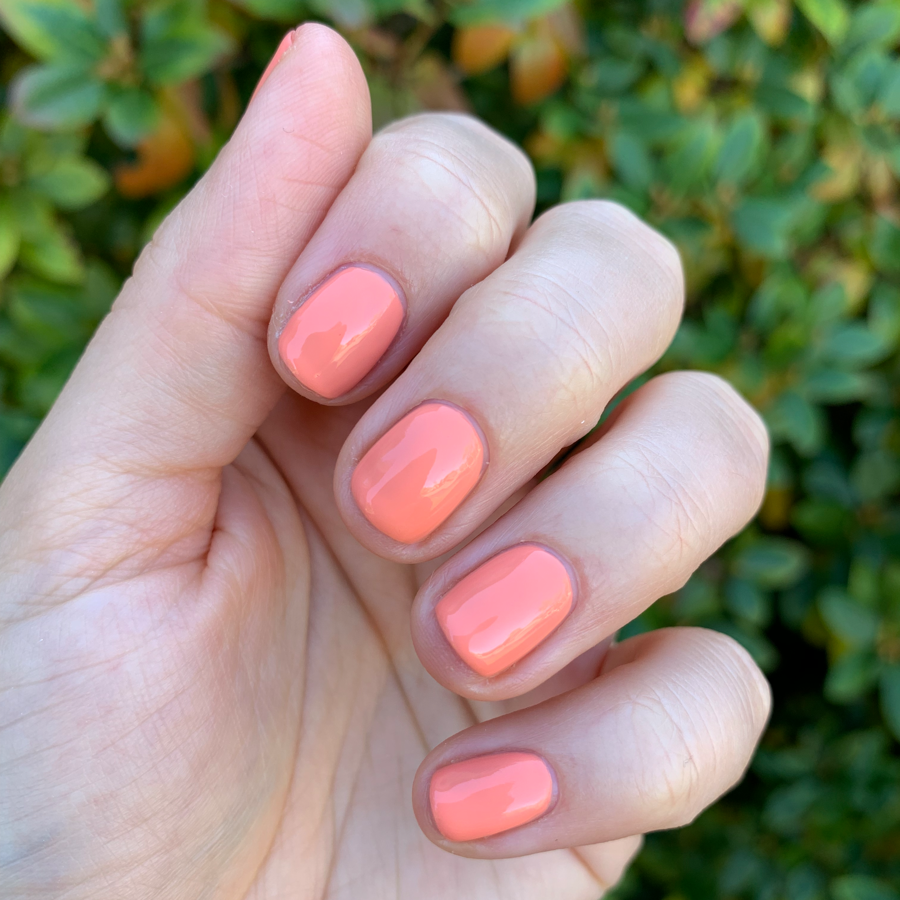 Glow、mySite、solidvoid