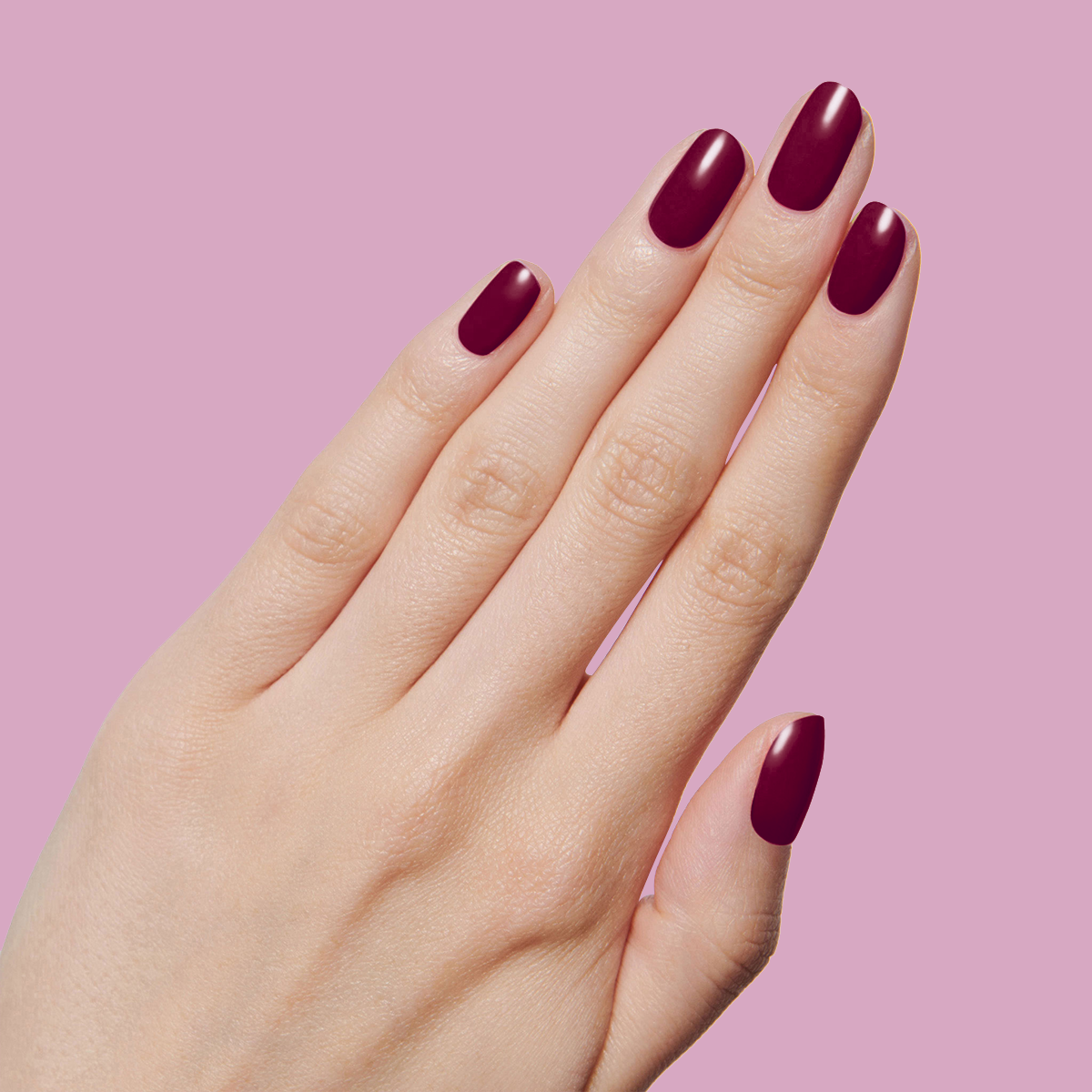 Plaza、mySite、solidvoid