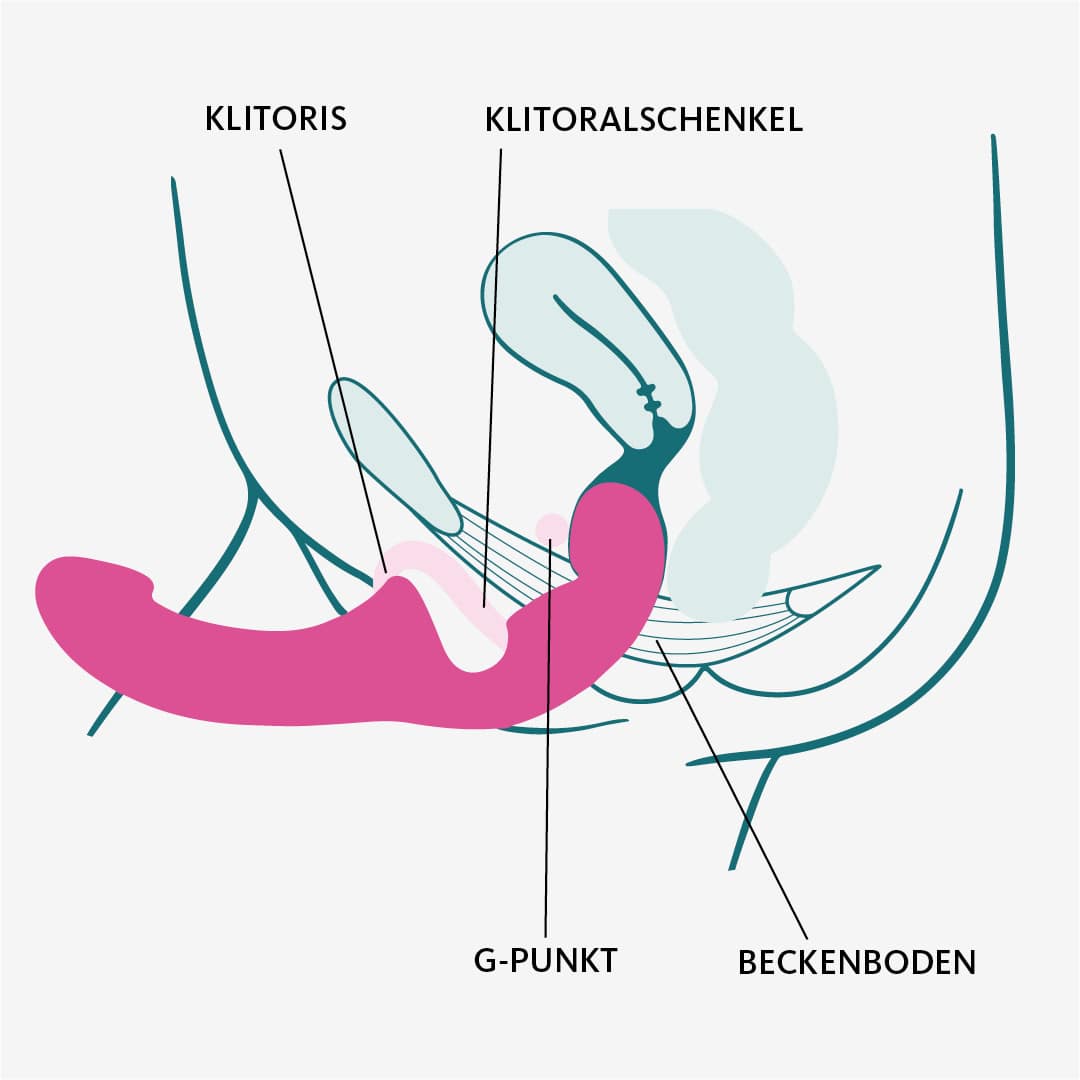 SHARE LITE、mySite、bottomscart