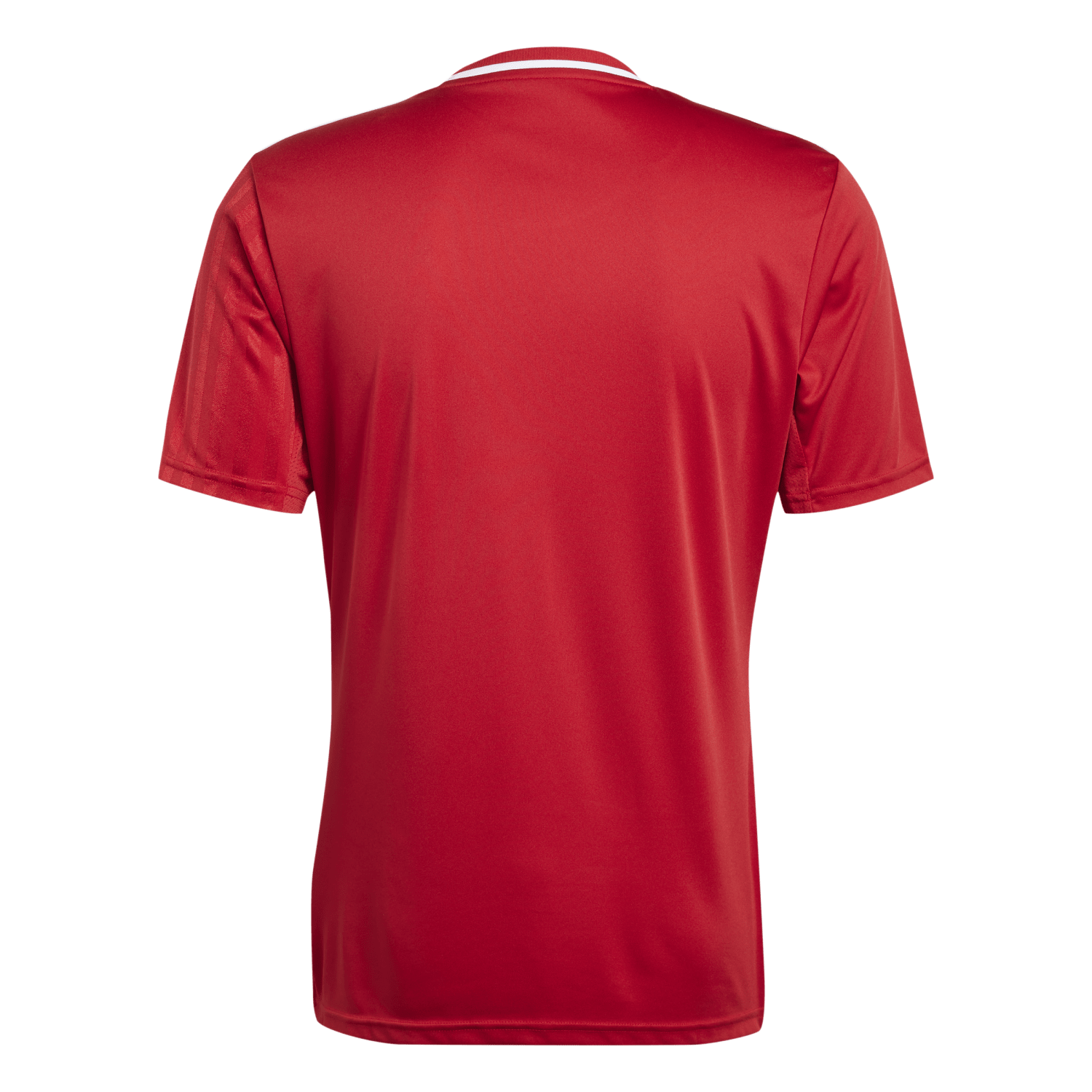 adidas Campeon 25 Jersey - Red、mySite、noshort