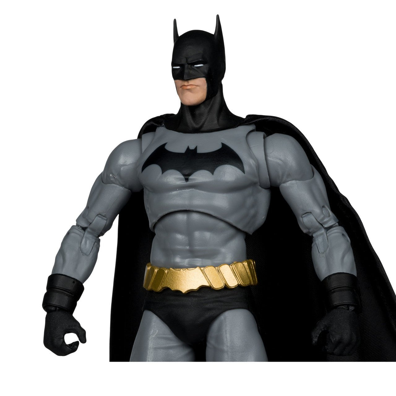 DC Multiverse Batman Reborn (Dick Grayson)、mySite、hgirdovlk