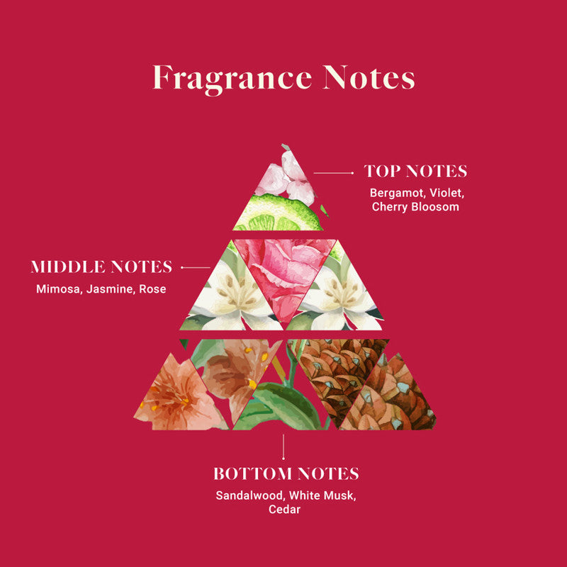 Air Freshener Whispering Woods | Bathroom, Wardrobe & Car | Pack of 6、mySite、camillekostekn