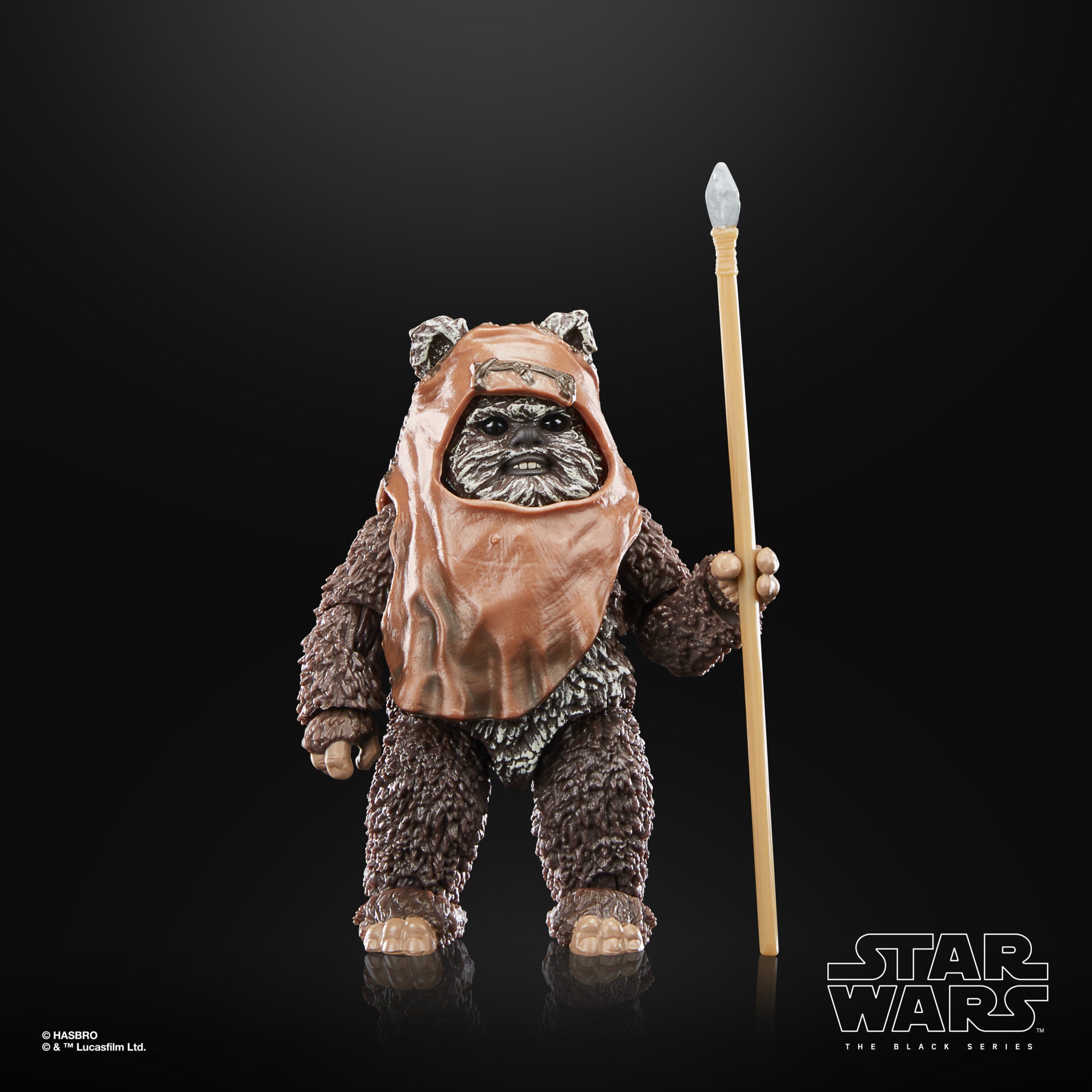 Star Wars The Black Series Return of the Jedi 40th Anniversary Wicket、mySite、hgirdovlk