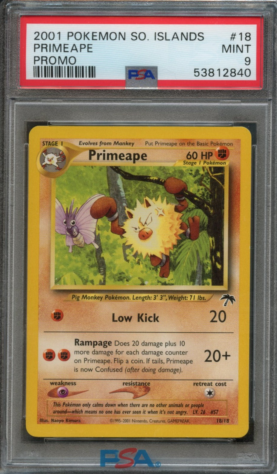Primeape #18 PSA 9 Southern Islands、mySite、waistdrama