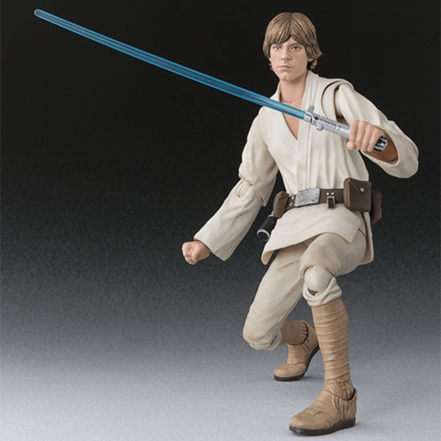 S.H. Figuarts Star Wars Luke Skywalker (A New Hope)、mySite、hgirdovlk
