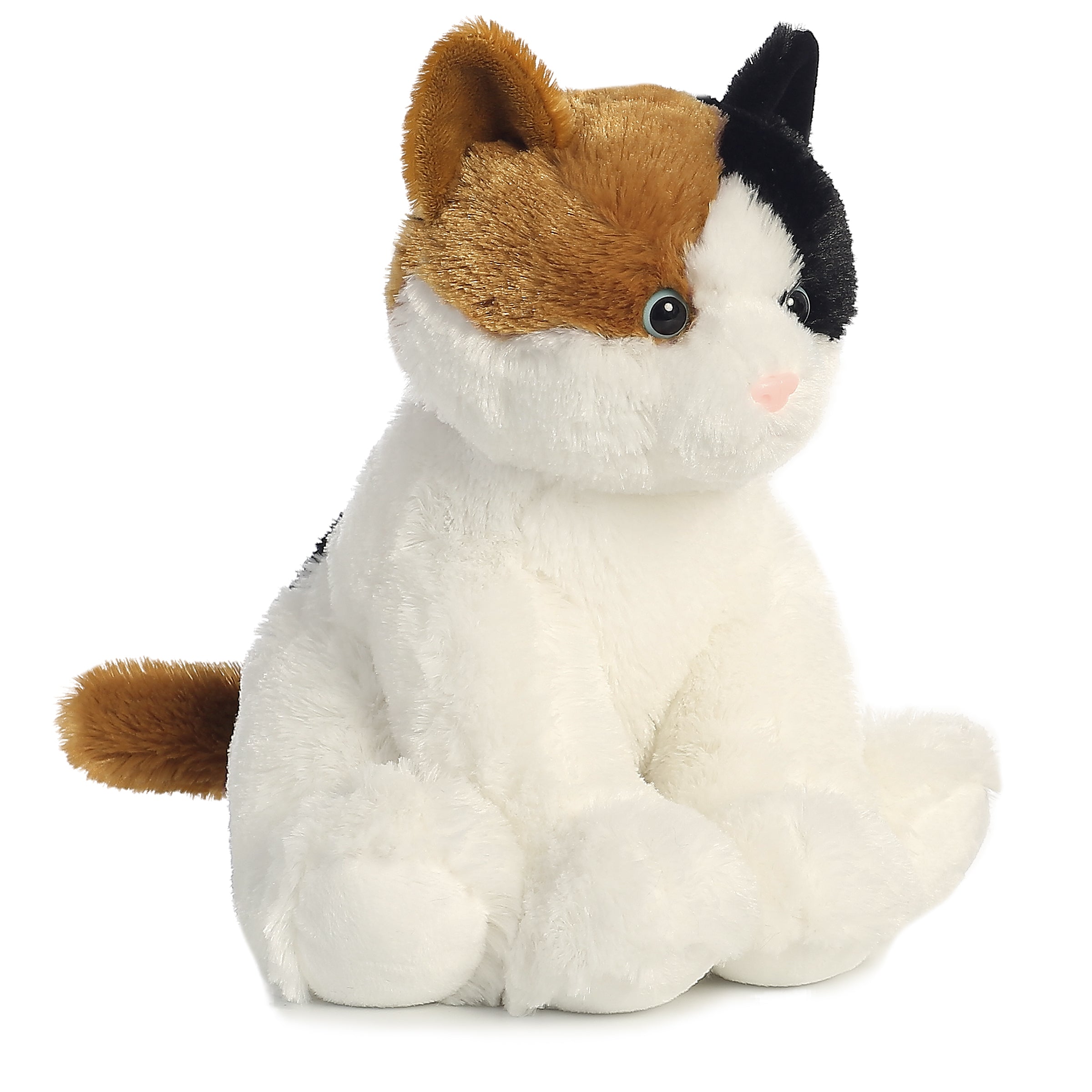 Aurora® - 14 Esmeralda、mySite、g9winljtr