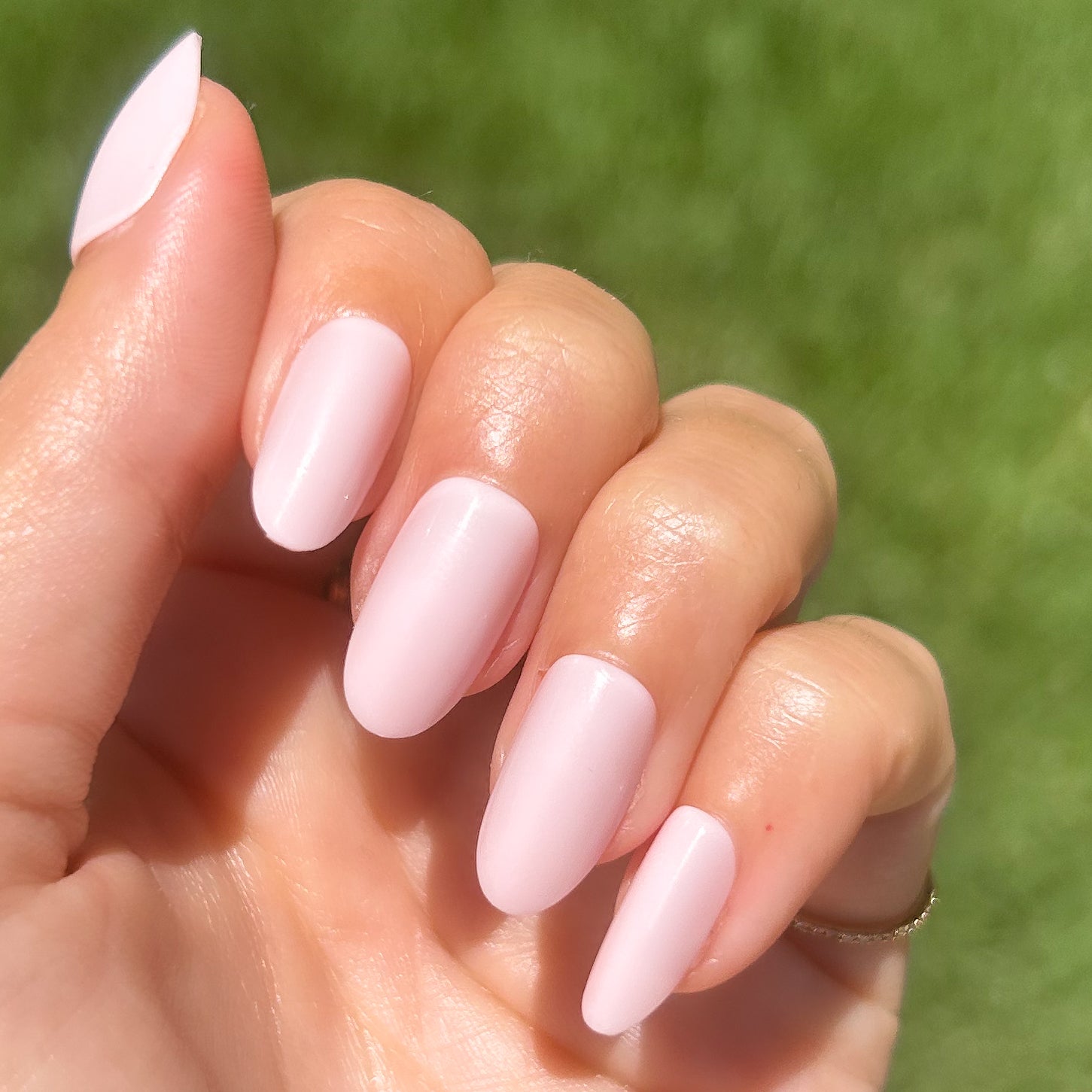 GH - Press-On | Medium | Oval、mySite、solidvoid