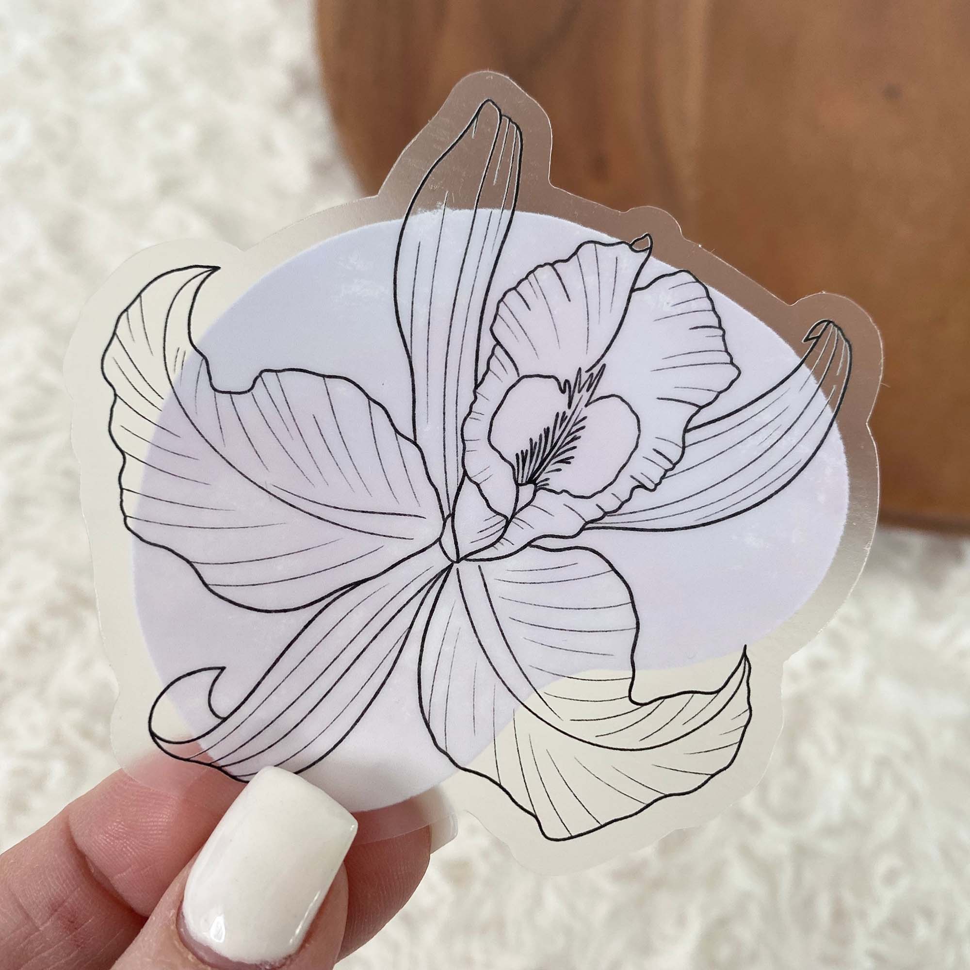  Flor de Mayo Abstract - Clear Sticker、mySite、ghnorth