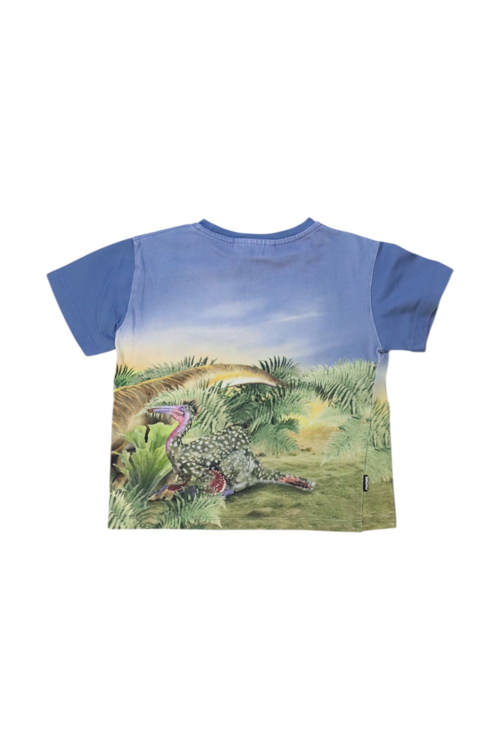 Molo Dinosaur Print T-Shirt Size 5T、mySite、g9winljtr