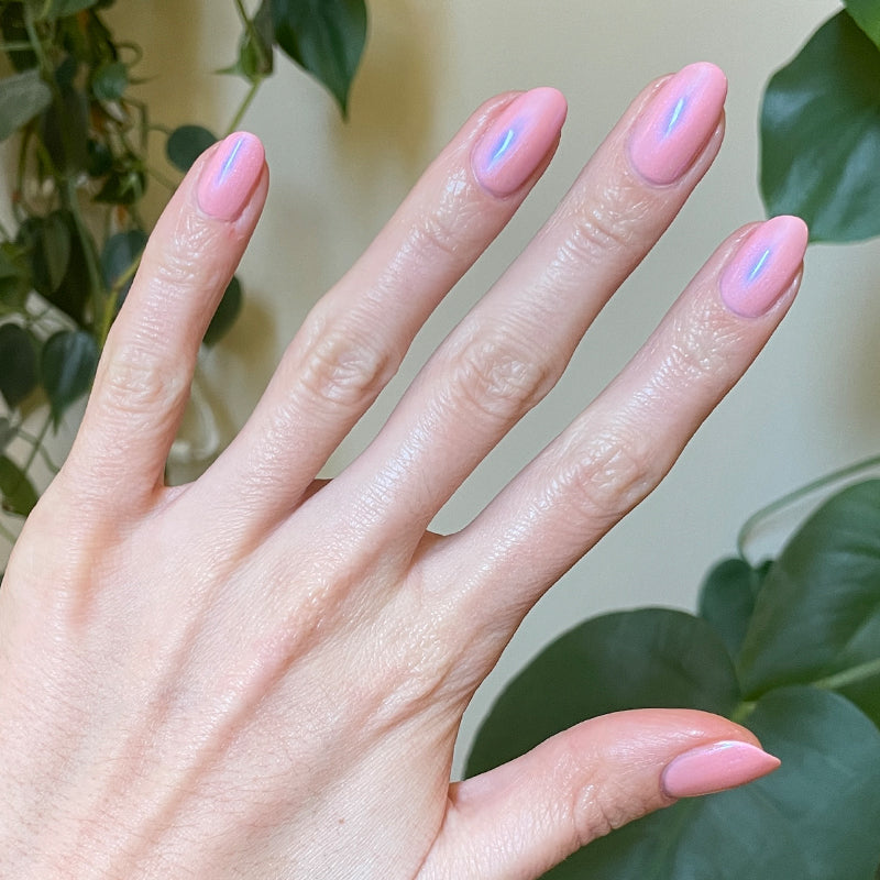 Candy Shoppe、mySite、solidvoid