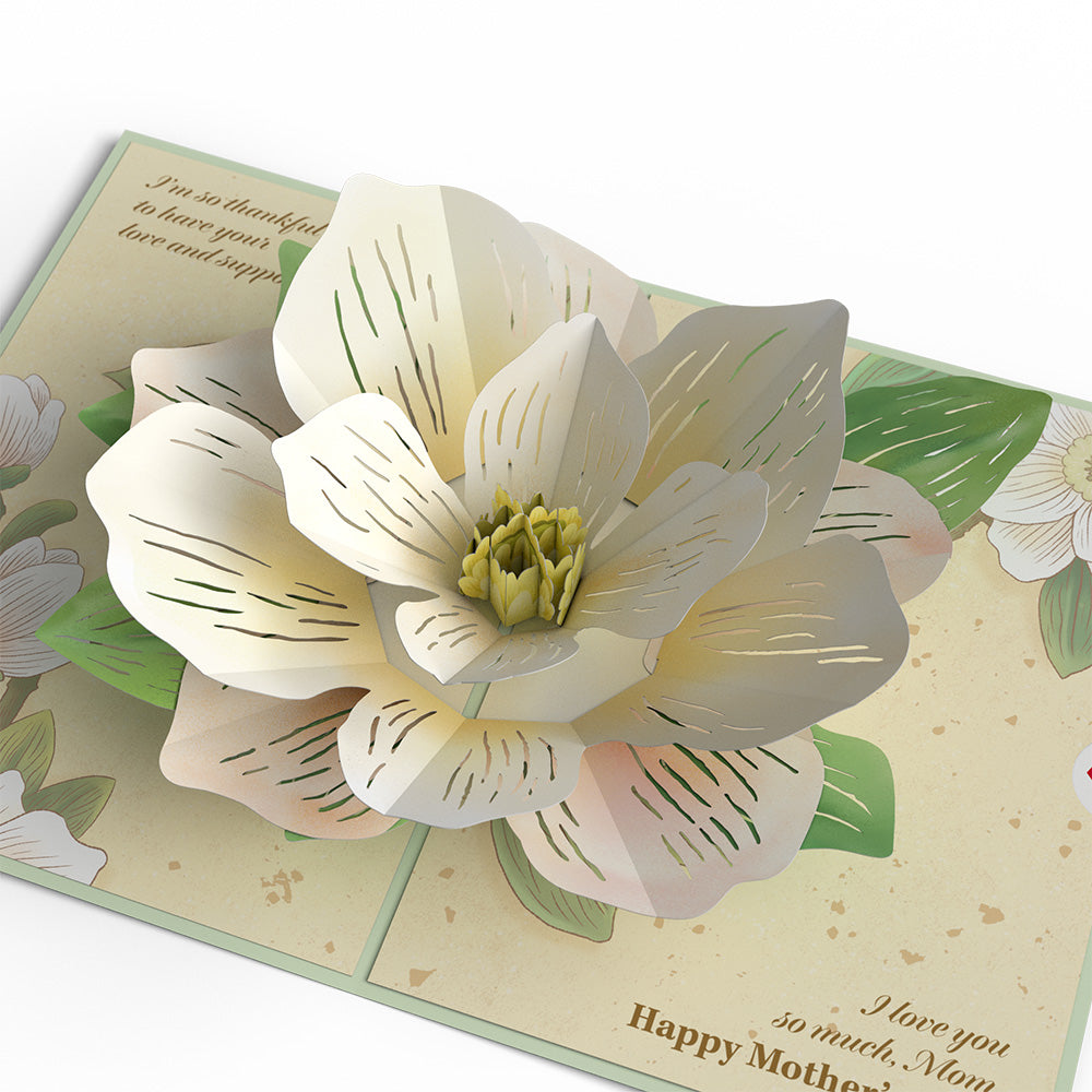 Mother’s Day Magnolia Pop-Up Card、mySite、solidvoid
