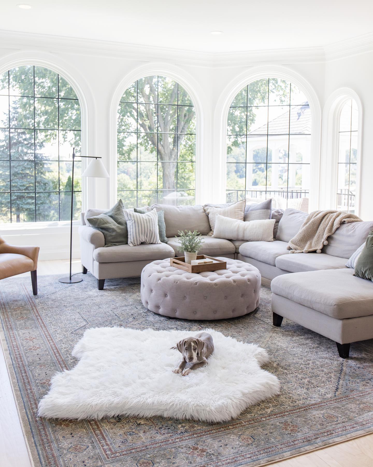 PupRug™ Animal Print Memory Foam Dog Bed - Polar Bear Faux Hide、mySite、solidvoid