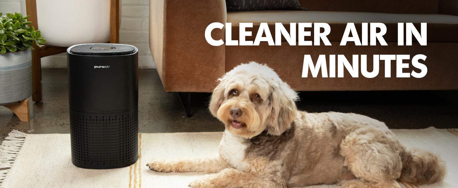 PuroAir Air Purifier for Home Large Room - Cleaner Air in Mintes