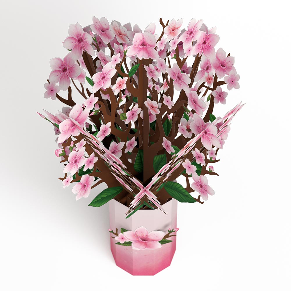 You Brighten My World Birds Suncatcher Card & Pop-Up Bouquet Bundle、mySite、solidvoid