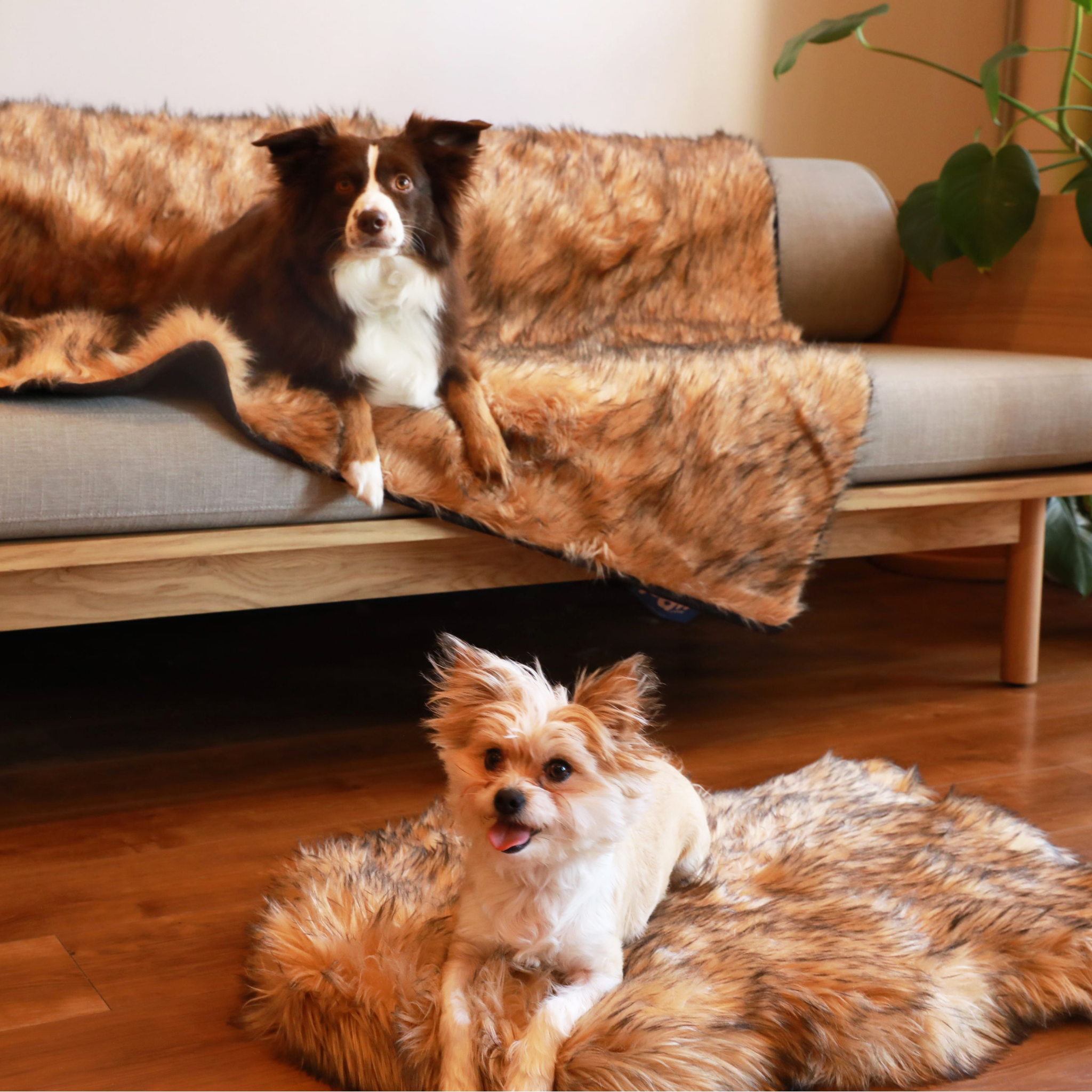 PupRug™ Orthopedic Bed + Matching Waterproof Blanket Bundle- Sable Tan、mySite、solidvoid
