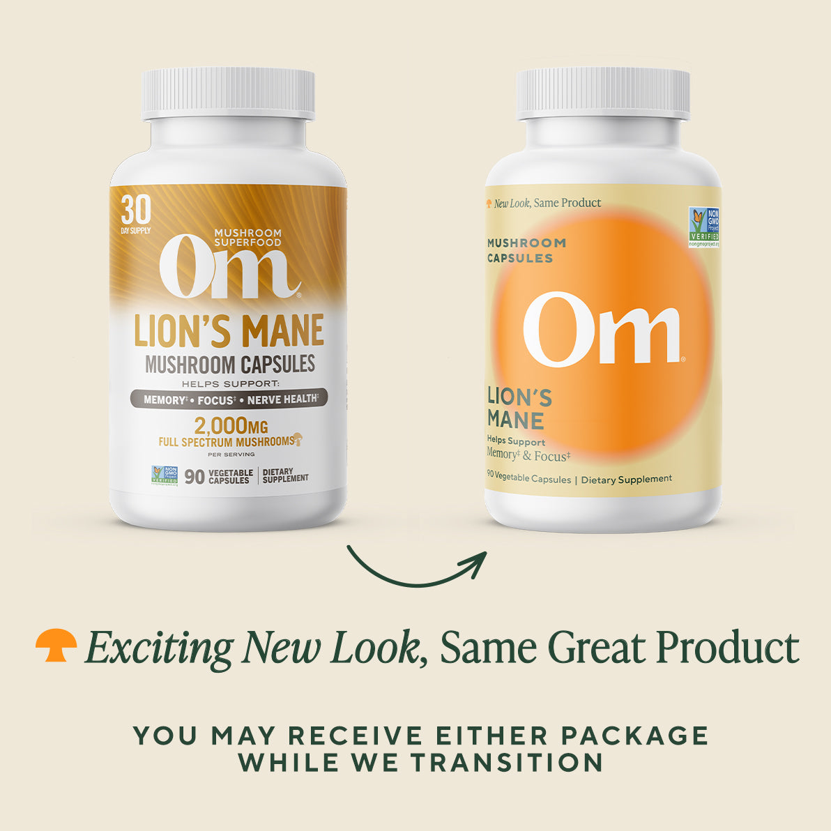 Lion’s Mane Mushroom Capsules、mySite、gigharbornorthrealestate