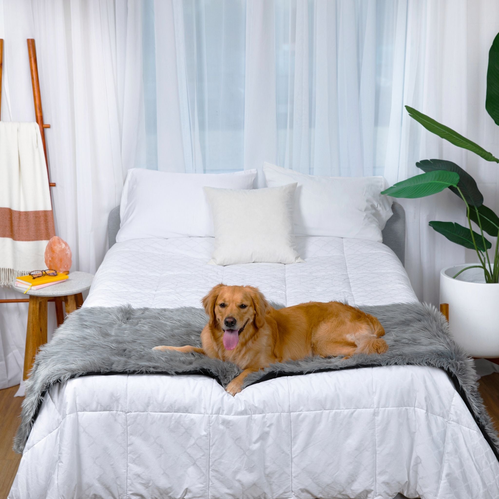 PupProtector™ Waterproof Bed Runner - Charcoal Grey、mySite、solidvoid