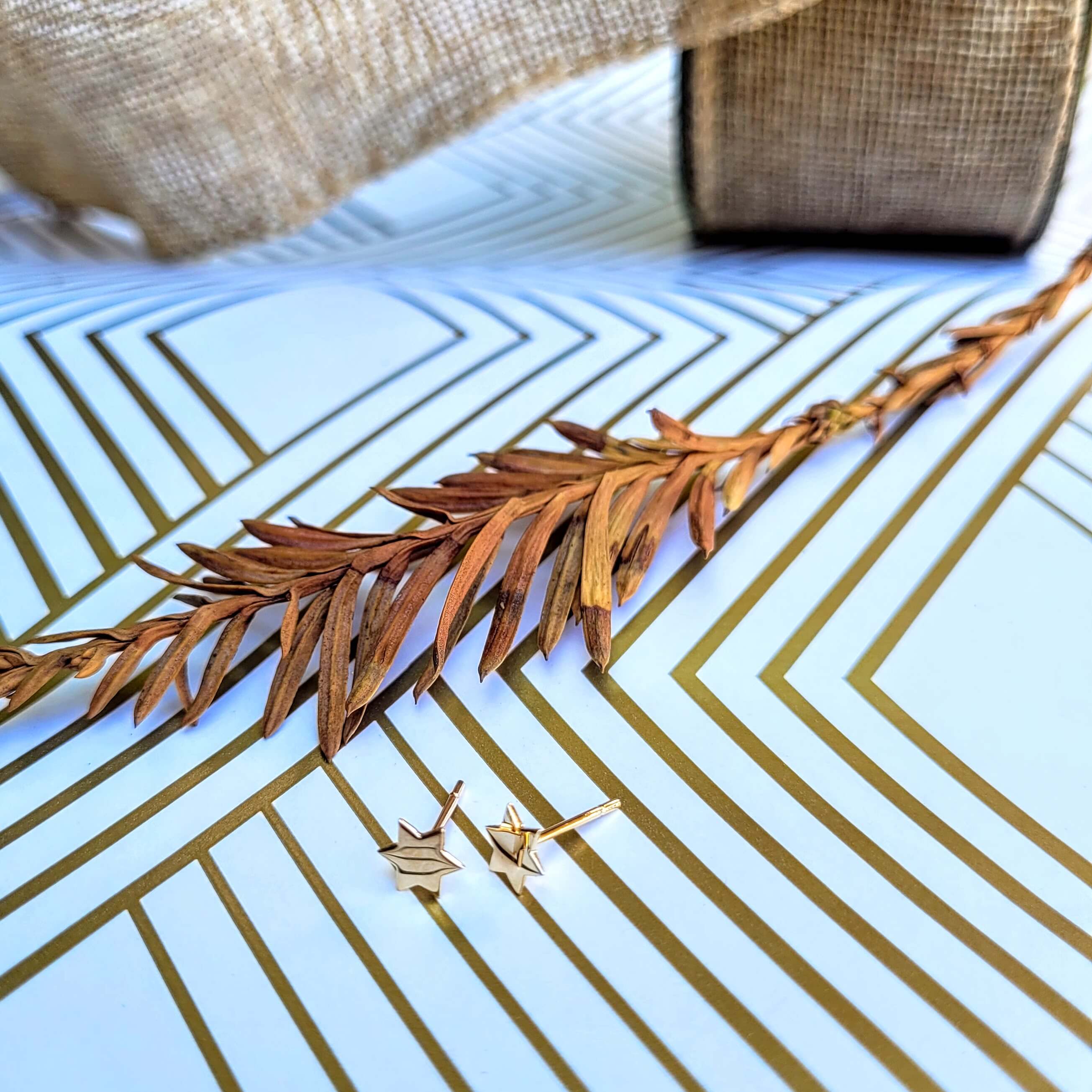 Gold-Plated Star of David Earrings、mySite、topwebapps