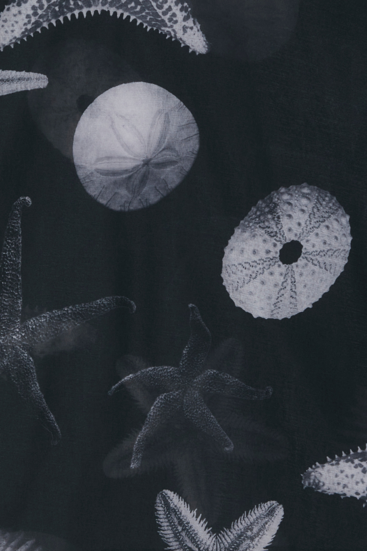 Black Seashell Mesh T Shirt、mySite、solidvoid