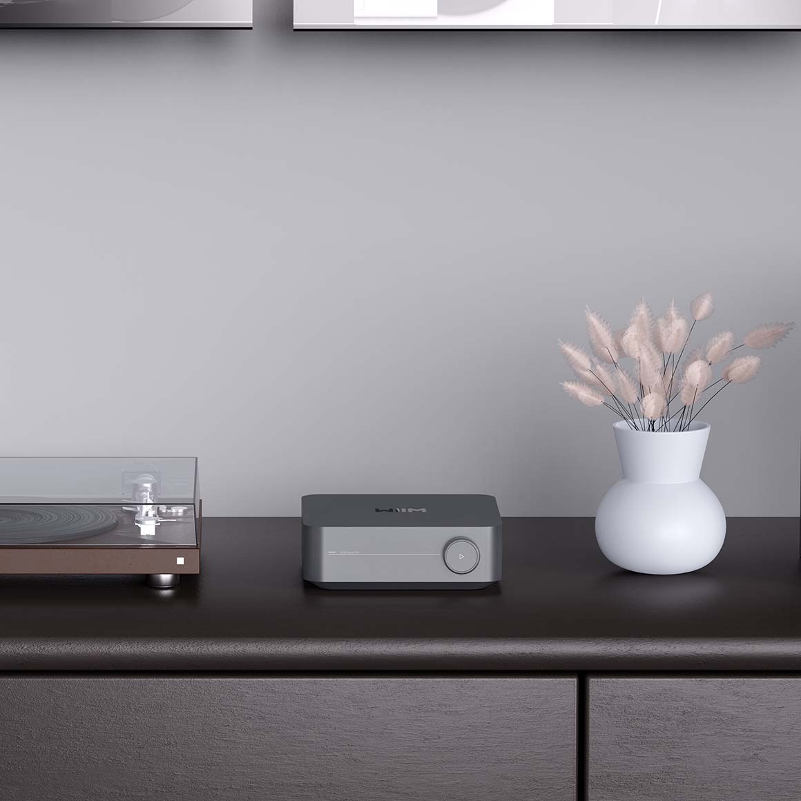  WiiM - Amp / Amp Pro、mySite、merchandisen